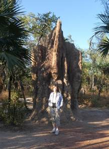 A person standing next to a palm tree on a dirt road

Description automatically generated