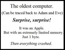 05 Apple.jpg