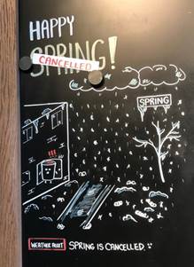05 Spring.jpg