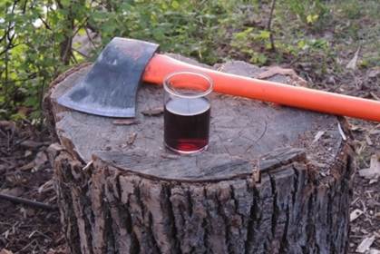 A picture containing outdoor, ax, tool, sitting

Description automatically generated